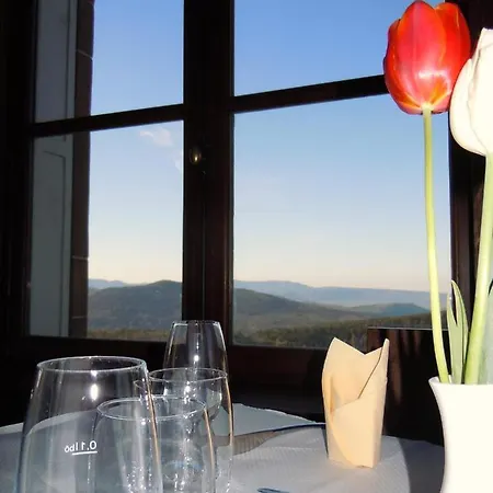 Hôtel-restaurant Mont Sainte-odile 2* Ottrott