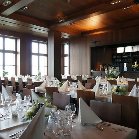 Hotel-restaurant Mont Sainte-odile Otel