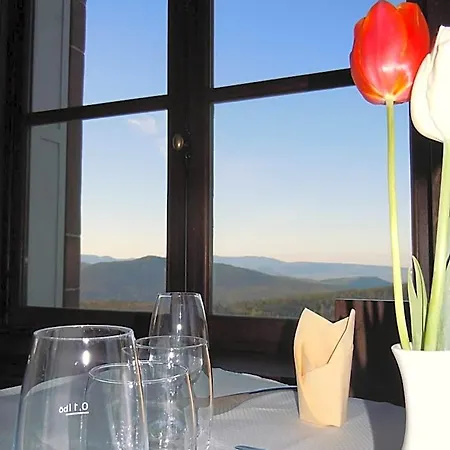 Hotel Hôtel-restaurant Mont Sainte-odile