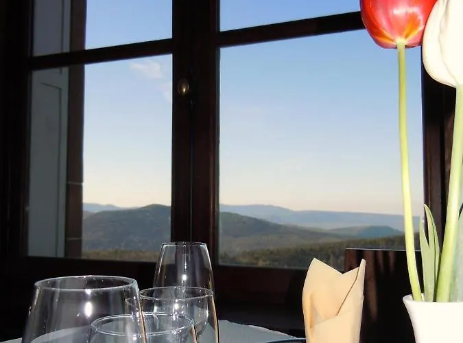 Hotel-restaurant Mont Sainte-odile 2* Ottrott